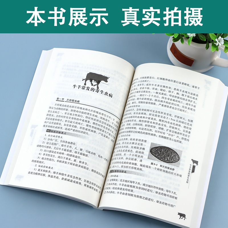 [正版]牛羊常见病诊治实用技术养殖致富直通车养殖牛羊大全牛羊病防治技术书兽医临床工具书畜牧兽医辅导书羊牛常见病防治措施高清大图