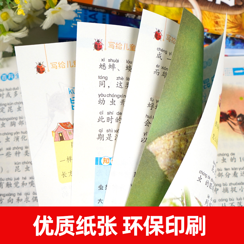 [精装硬壳]身体知识百科 [正版]写给儿童的百科全书全套6册 中国学生百科全书恐龙书籍动物世界大百科注音版少儿幼儿科普海