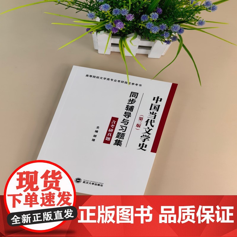 洪子诚中国当代文学史(第三版)同步辅导与习题集高清大图