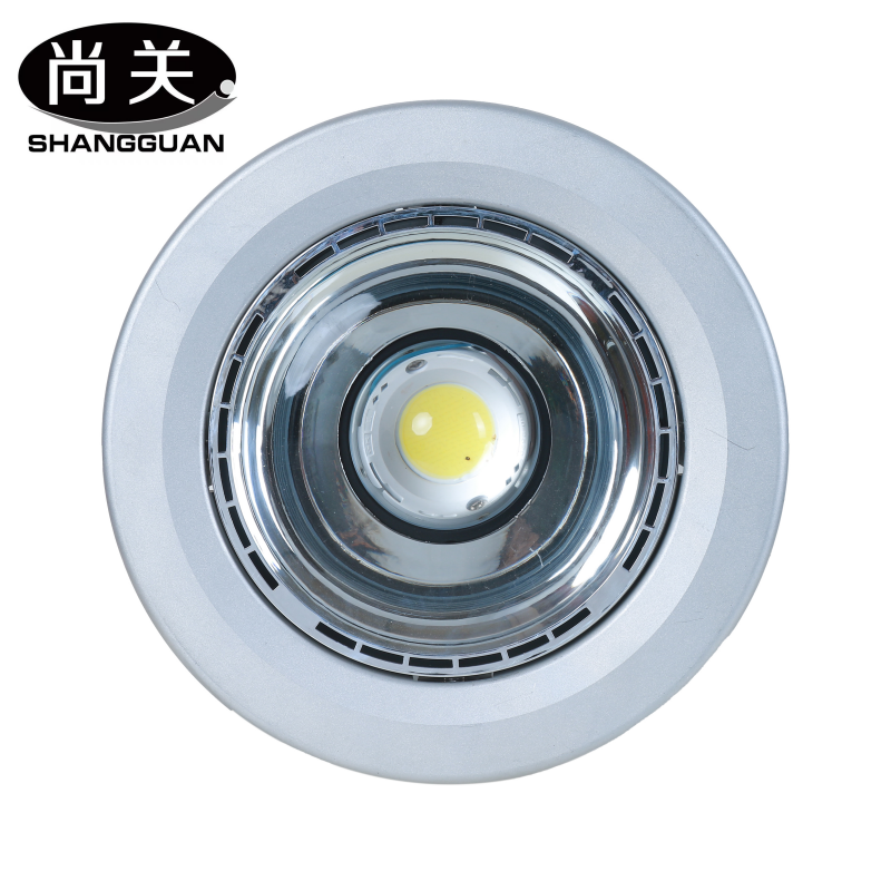 尚关(SHANGGUAN) LED智能型升降灯SQ-Z44G 40W 只高清大图