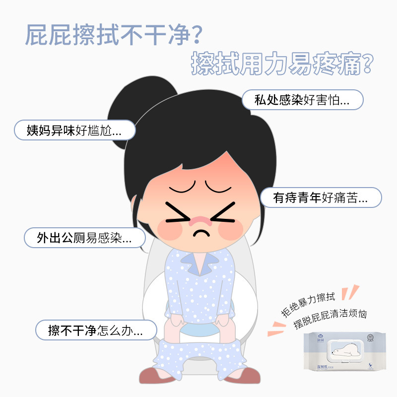 润荷 湿厕纸 厕纸湿巾80片*5包 肛门清洁湿纸巾湿巾 专用可冲马桶擦屁屁孕妇儿童女性私处可用洁厕巾