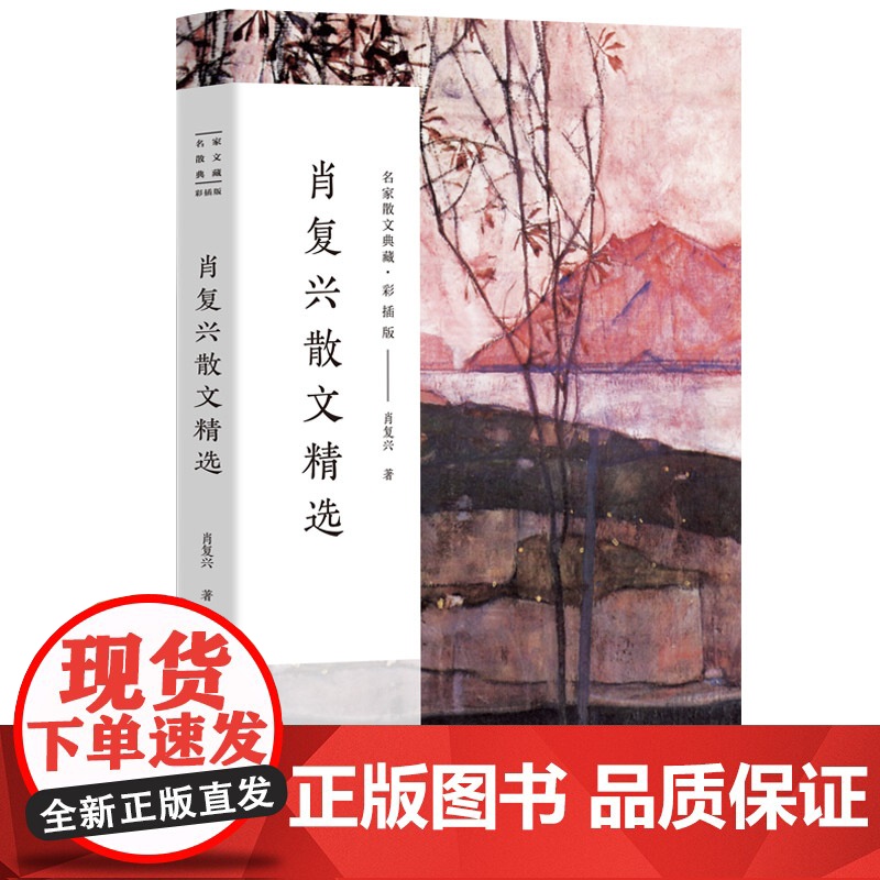 肖复兴散文精选 正版散文集 名家散文典藏收录那片绿绿的爬山虎手绘插图现当代文学散文精选集名家作品长江文艺出版社高清大图
