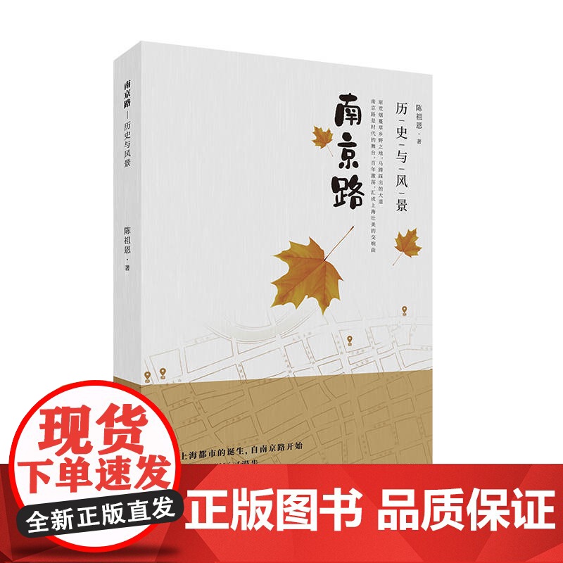 南京路:历史与风景 陈祖恩著 上海历史 商业街 中华文化 老弄堂 老建筑 历史人文 特色历史建筑 上海人民出版社高清大图