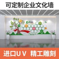 文化墙展板定制 企业学校室内文化墙展板定制 PVC+亚克力 来图定制 可上门安装1.2×0.5m