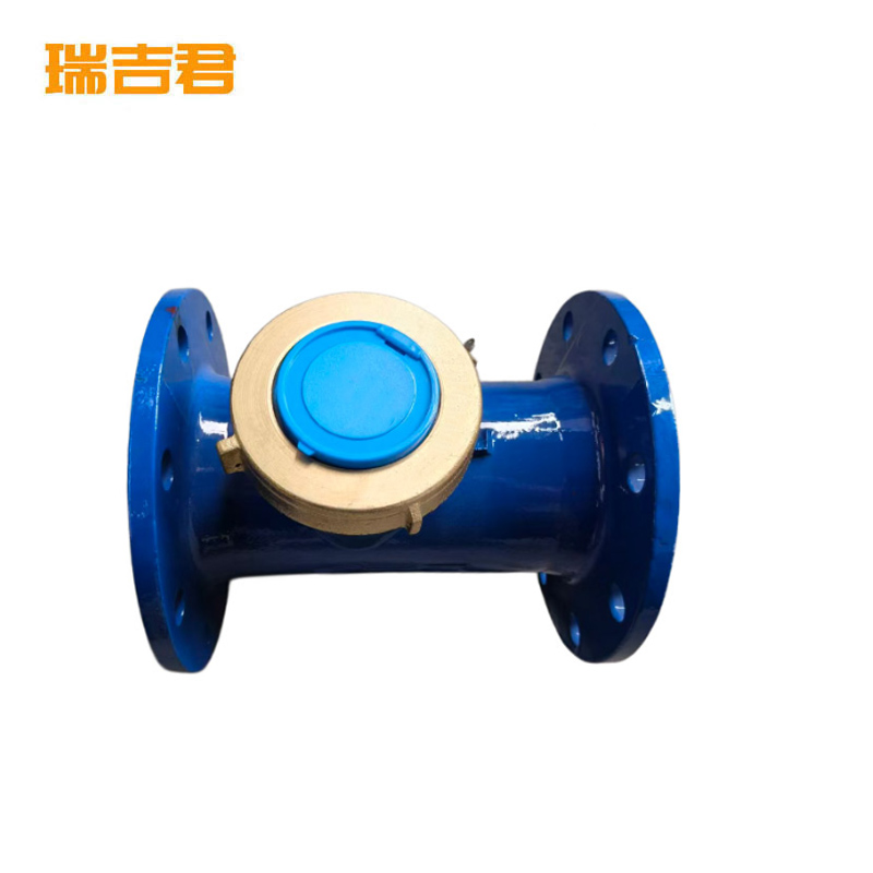 瑞吉君 水表 DN80 长21.5cm 个高清大图
