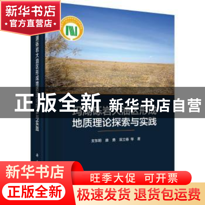 正版 玛湖砾岩大油区形成地质理论探索与实践 支东明,唐勇,匡立