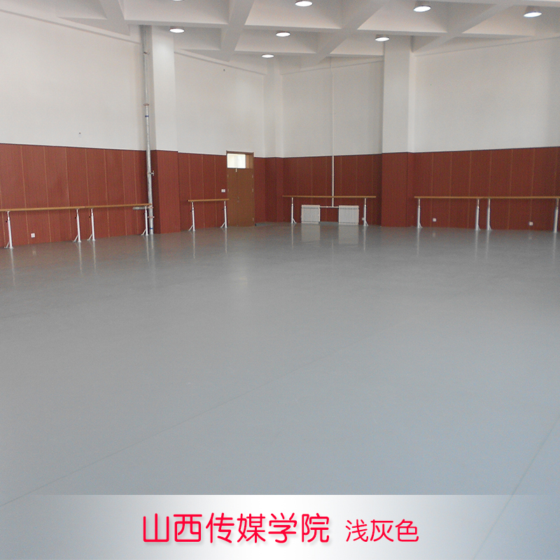 舞蹈地胶舞蹈房专用5专业家用运动地胶室内幼儿园舞蹈教室地垫