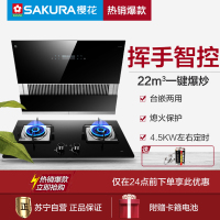 樱花(SAKURA)烟灶套餐 自清洗 侧吸22立方抽油烟机吸油烟机燃气灶灶具厨电烟灶套装7A01+BDB01天然气