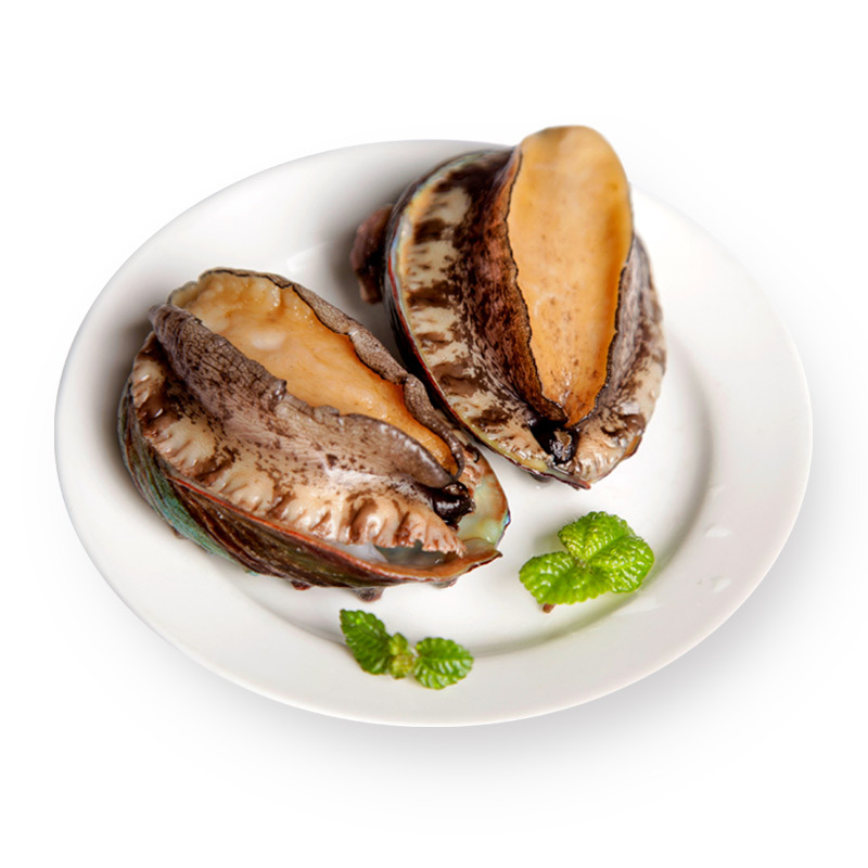 衍鲜812头斤鲍鱼鲜活大个新鲜海鲜水产小鲍鱼鲜活特大生鲜视频