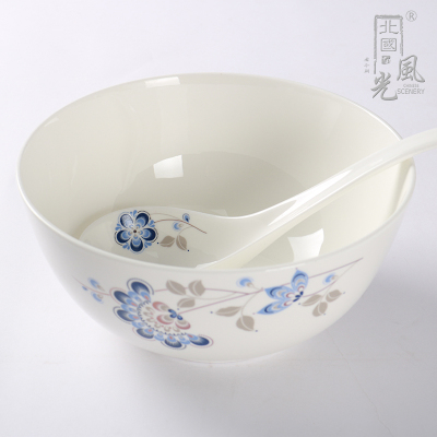 北国风光 骨瓷餐具兰孔雀花TS-0028 套