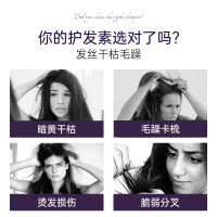 美多丝 柔顺去屑精华素 紫色 600ml 单位:瓶