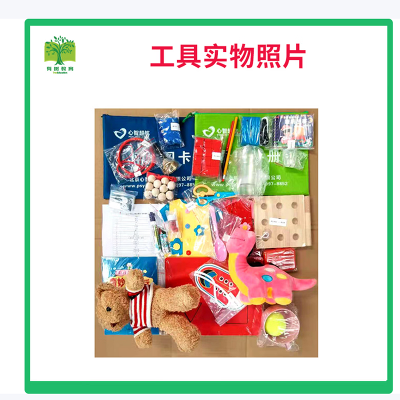 有树 YSXL-FMFM01 FMFM精细运动能力测试量表工具箱专业早教教具高清大图