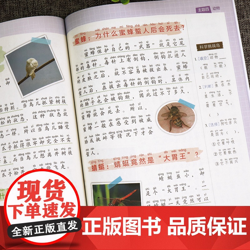 小橙同学科学年级阅读小学三四五六年级上册下册儿童趣味小实验游戏中的百科全书有趣的科学拓展人教版启蒙书同步课本教材书籍教辅高清大图