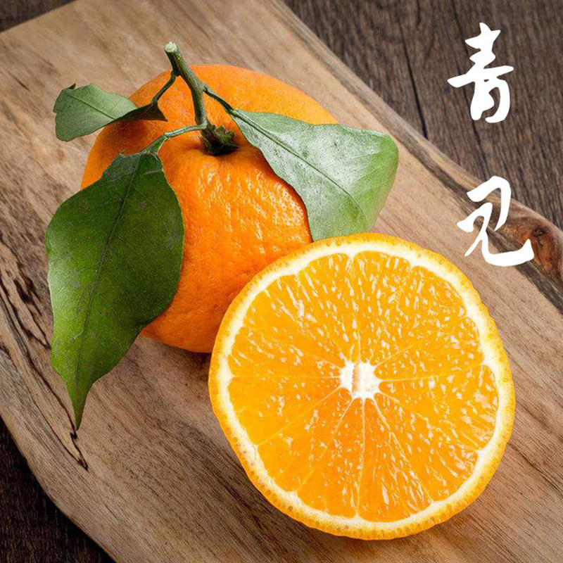 兵小二四川青见柑橘新鲜水果批发包邮当季采摘橘子应季时令桔子净重5