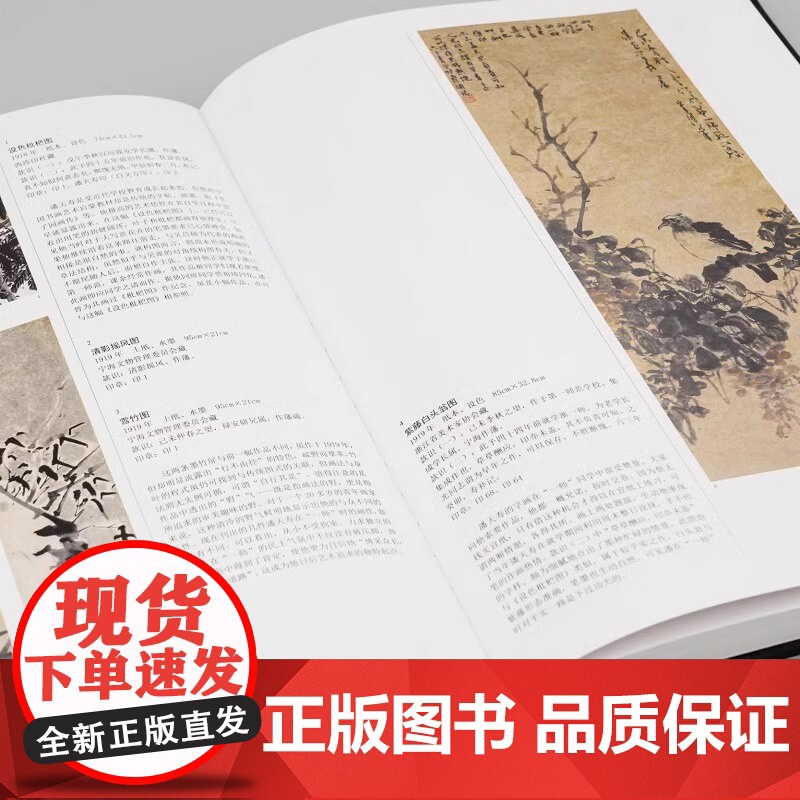 正版]潘天寿书画集(120周年纪念版) 潘天寿绘画书法印谱作品集鉴赏解析 名家国画写意花鸟山水画临摹册页全集研究文献高清大图