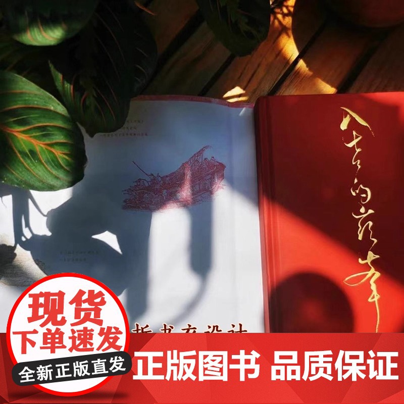 入世的巅峰 看不见的清明上河图 再现我们曾信守过的 坚持过的生命理想和美的规则 入世的巅峰 精美宣纸画图 正版书籍高清大图