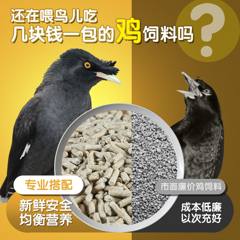 营养鹩哥食八哥画眉鸟鸟食食料虫干饲料精美罐装 1200ml