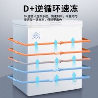 冰熊 62升 冷藏冷冻转换家用商用节能小冰柜迷你卧式一级能耗小型变温冷柜微霜款BC/BD-62A118