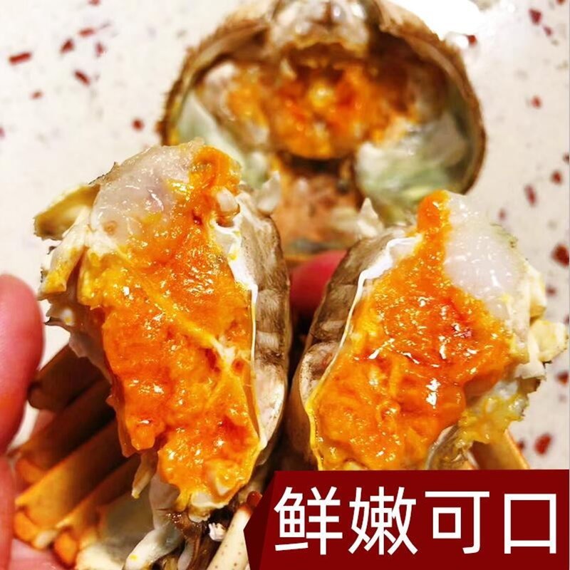 餐中王清水大闸蟹鲜活母蟹大螃蟹30两共8只母蟹活