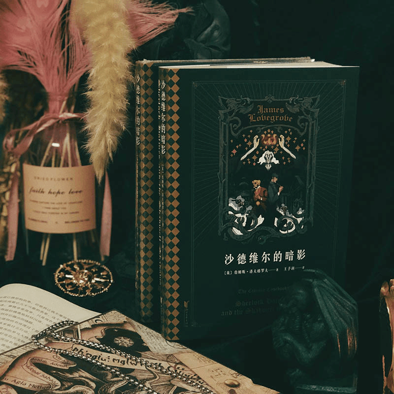 醉染图书沙德维尔的暗影9787533957513图片