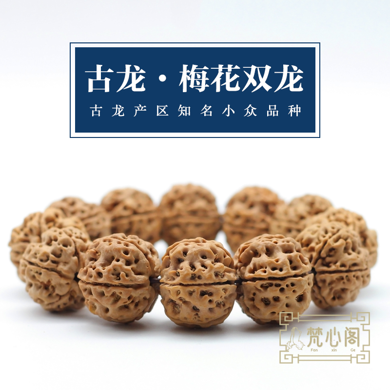 [梵心阁]古龙梅花双龙 蜂窝双龙高端5瓣尼泊尔大金刚菩提飞碟矮桩爆肉