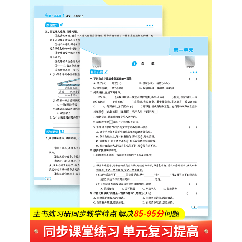 英语[人教版] 六年级上 [正版]2024秋 四星小学学霸提高班 一年级二年级三年级四五六年级上册语文数学英语人教北师江