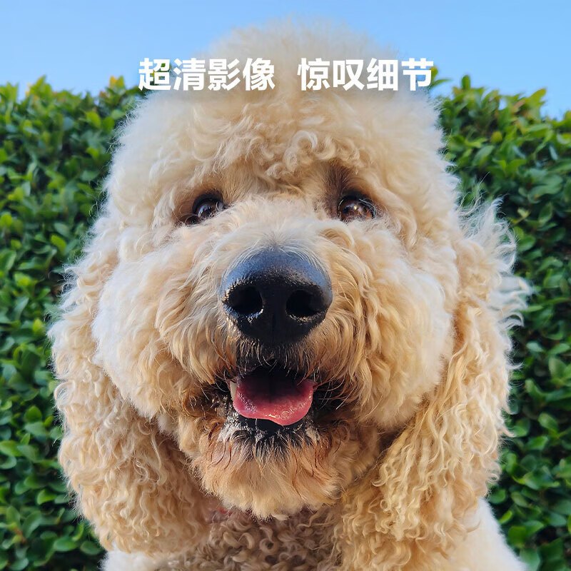 三星S23三星 SAMSUNG Galaxy S23 8GB+128GB 悠柔白 超视觉夜拍系统 超清夜景 5G手机 游戏拍照旗舰机s23三星S23/S22升级版
