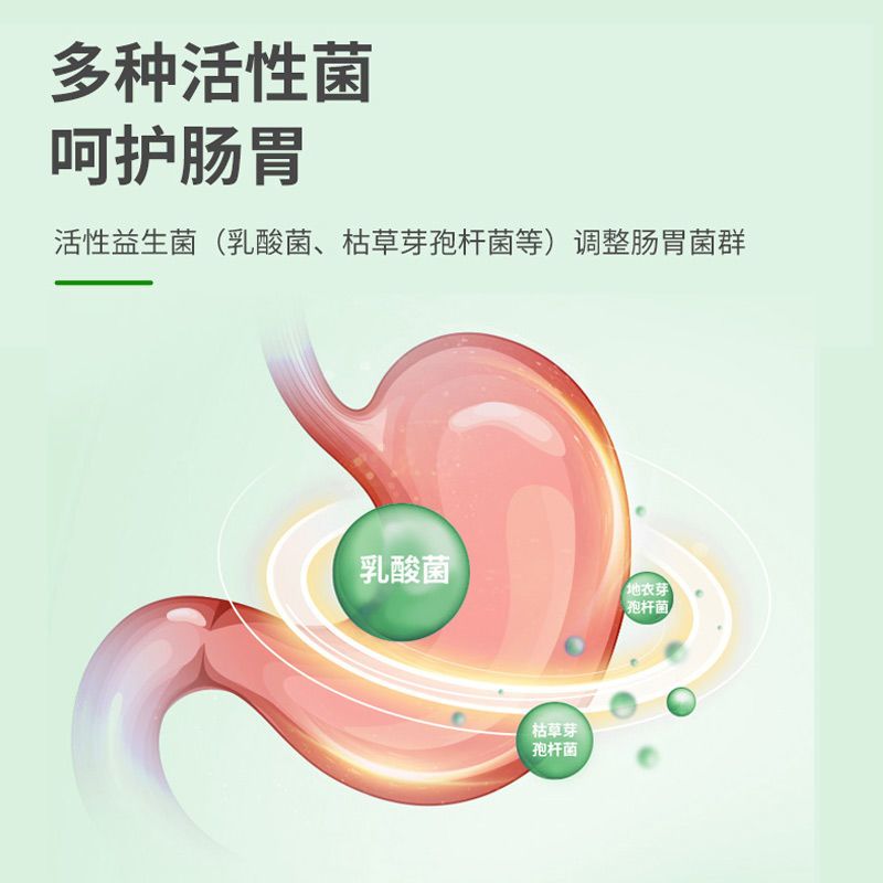 伊莱仕狗狗益生菌片调理肠胃宠物幼犬金毛泰迪通用呕吐腹泻肠胃宝 狗益生菌片