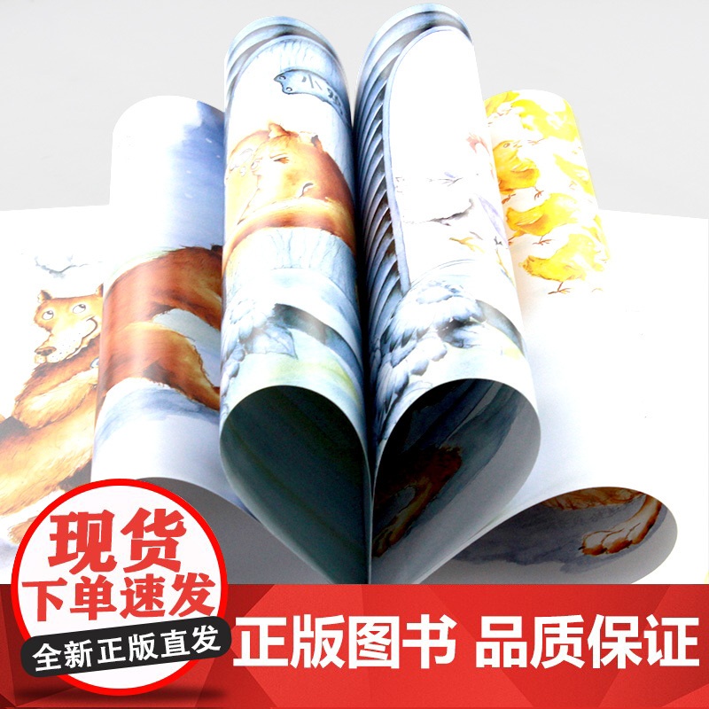 狼大叔的红焖鸡精装绘本图画书大师庆子凯萨兹著学会夸赞他人遇到事情要冷静才能急中生智适合3岁4岁5岁6岁亲子阅读蒲公英正版高清大图