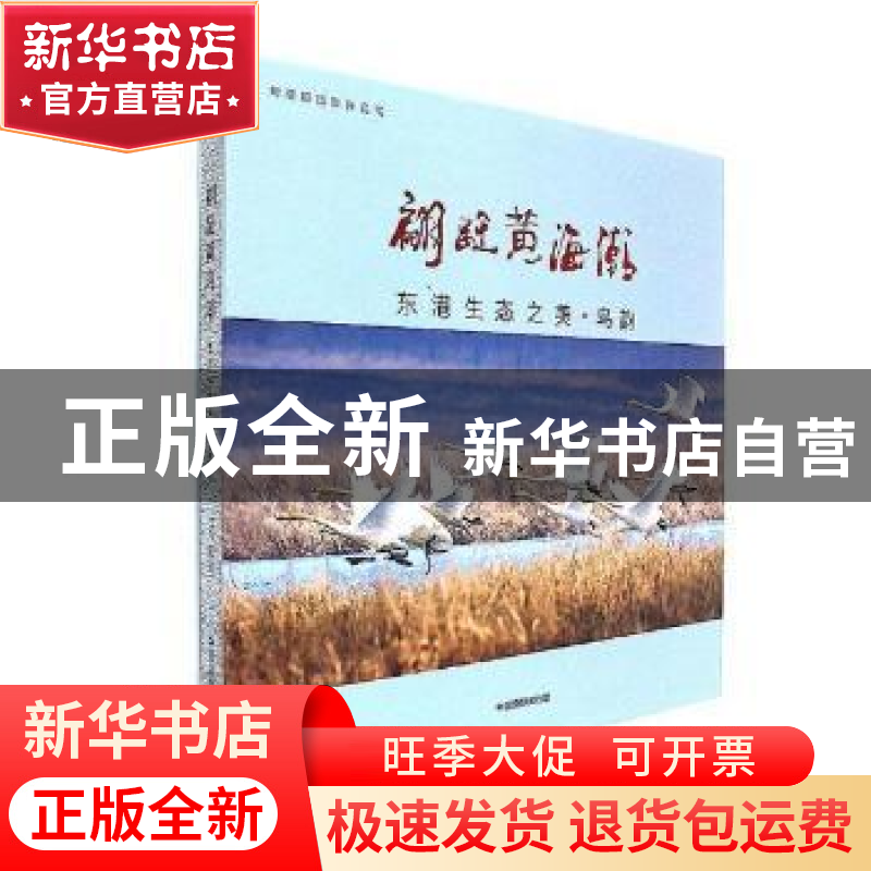 正版 画册--翩跹黄海潮 刘晓阳 中国摄影出版社 9787517906032 书高清大图