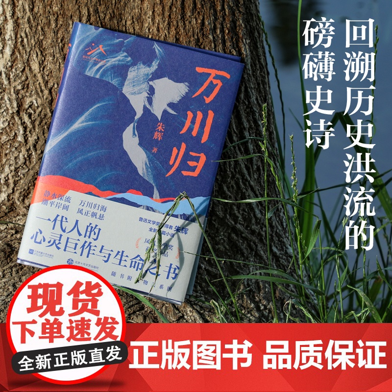万川归 凤凰文学奖 朱辉著 三种截然不同的人生轨迹,一代知识分子的共同成长史,还原时代浪潮中人们的精神世界 长篇小说高清大图