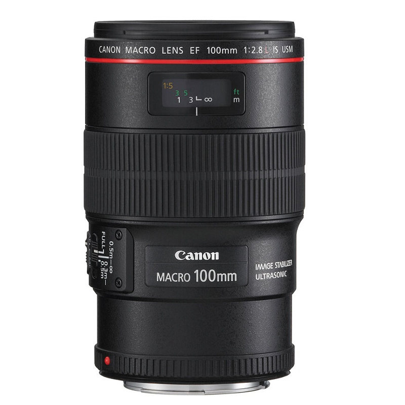 佳能(Canon)EF 100mm f/2.8L IS USM+滤镜套镜头 EOS 200D 数码单反