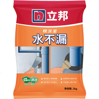 立邦 水不漏堵漏涂料 快干水泥堵漏灵 卫生间材料堵漏宝 屋顶裂缝隙 速凝型胶泥 2kg