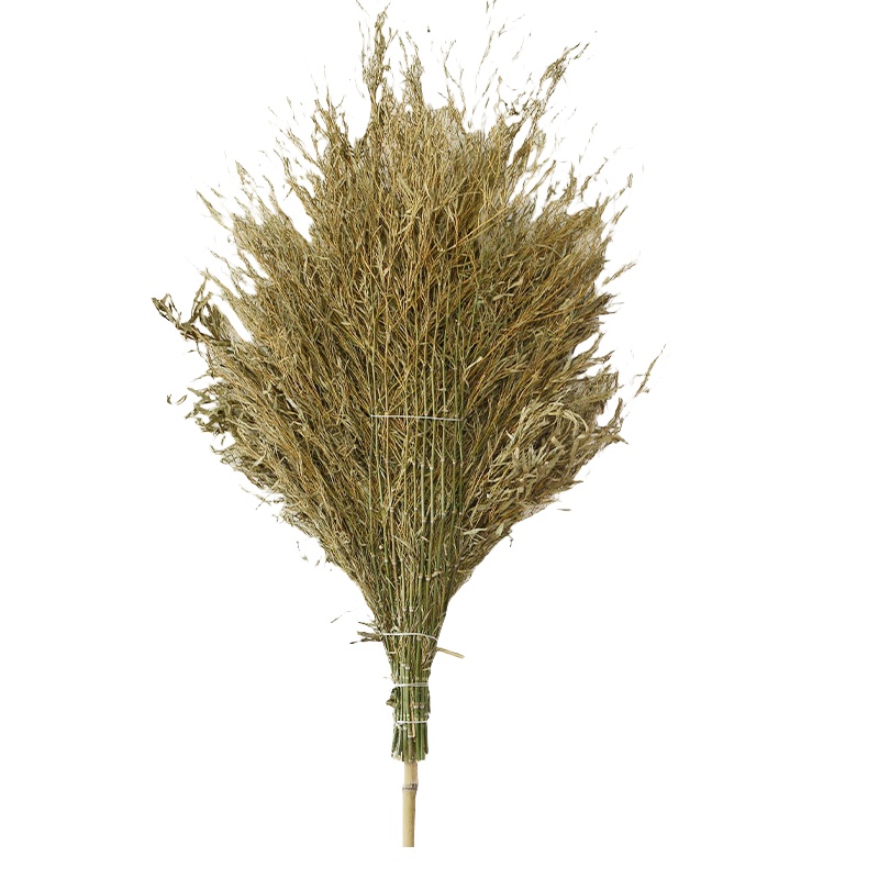 岱润 扫帚 竹把 把高清大图