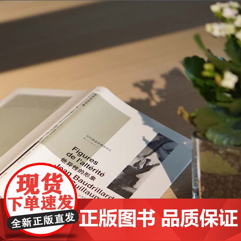 当代激进思想家译丛:他异性的形象 从局外人到他异性 鲍德里亚和纪尧姆关于“差异”的讨论高清大图