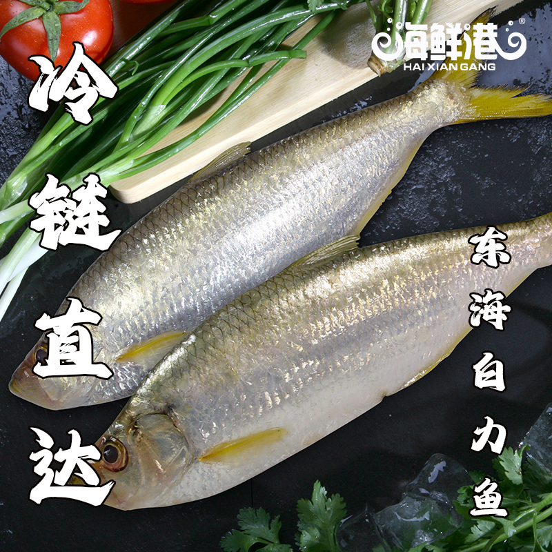 26年海鲜港258型-龙马精神(特价款)高清大图