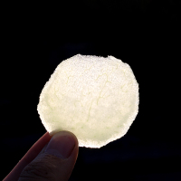 山东莱阳梨烟台特产新鲜水果脆甜2.5kg