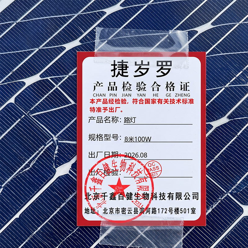 捷岁罗 路灯 8米100W 个高清大图