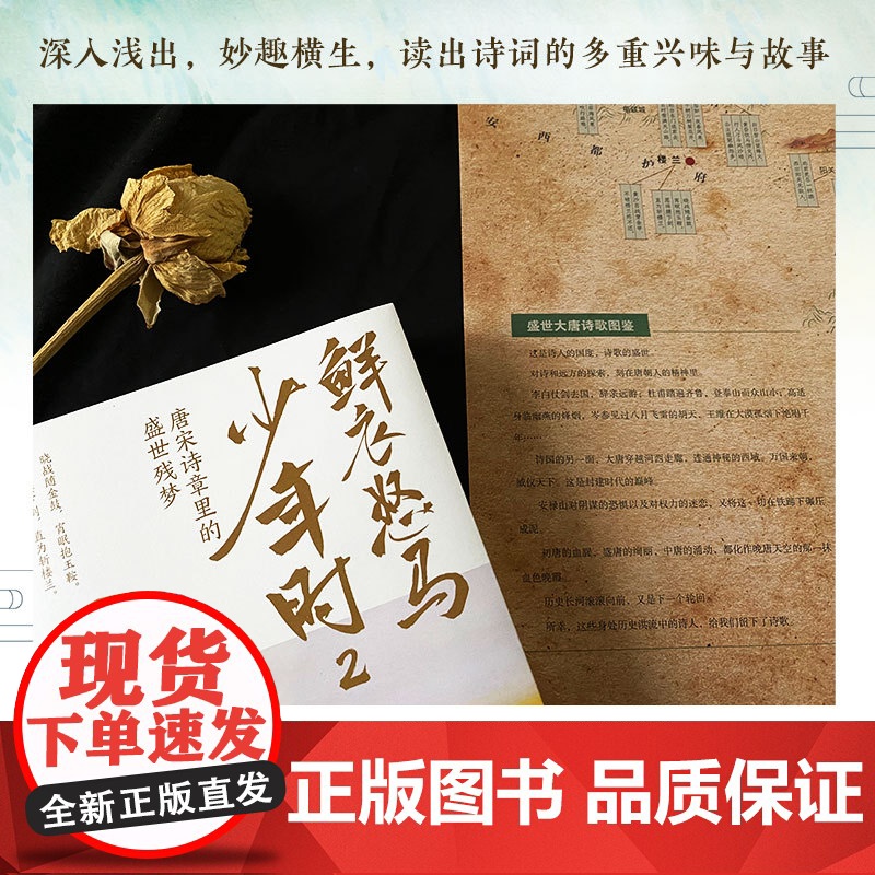 鲜衣怒马少年时2 少年怒马著 揭示开元盛世繁华危机唐宋诗人绘画文学中国古诗词鉴赏诗歌词曲正版书籍1高清大图