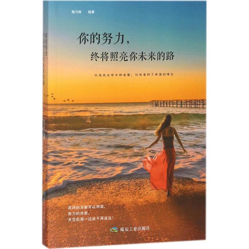 正版新书]你的努力终将照亮你未来的路陈万辉9787502064686高清大图