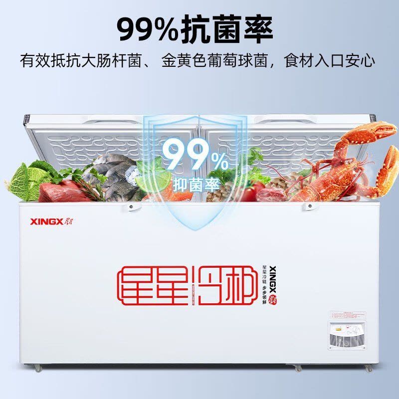 星星(XINGX) 518升商用大冷柜 家商两用 大冷冻力冰柜 断电保护 冷藏冷冻转换柜 BD/BC-528GE图片