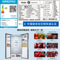 Haier/海尔 536升外取水超薄对开门冰箱 大容量家用双开门电冰箱变频风冷无霜 BCD-536WDEAU1
