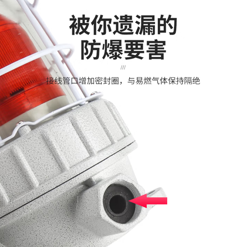 艾礼安防爆声光警号高清大图