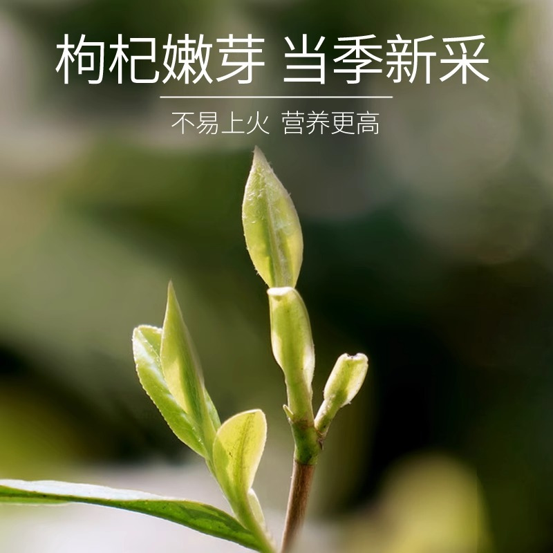丰凯园枸杞芽茶75g宁夏原产枸杞芽茶75g/罐枸杞茶树鲜嫩叶炒制 1罐[头茬新采]高清大图
