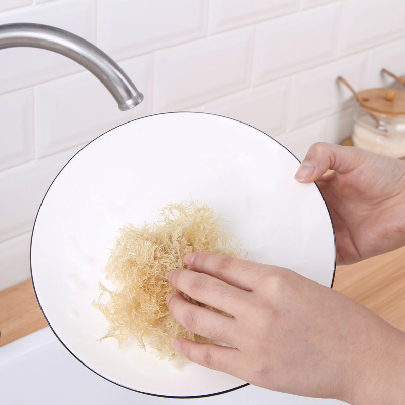 单个装丝瓜络洗碗布厨房丝瓜刷天然洗碗干丝瓜瓢水丝瓜藤刷锅刷碗丝瓜