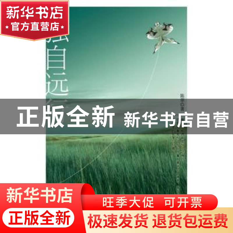 正版 独自远行 陈翠著 新星出版社 9787513303255 书籍