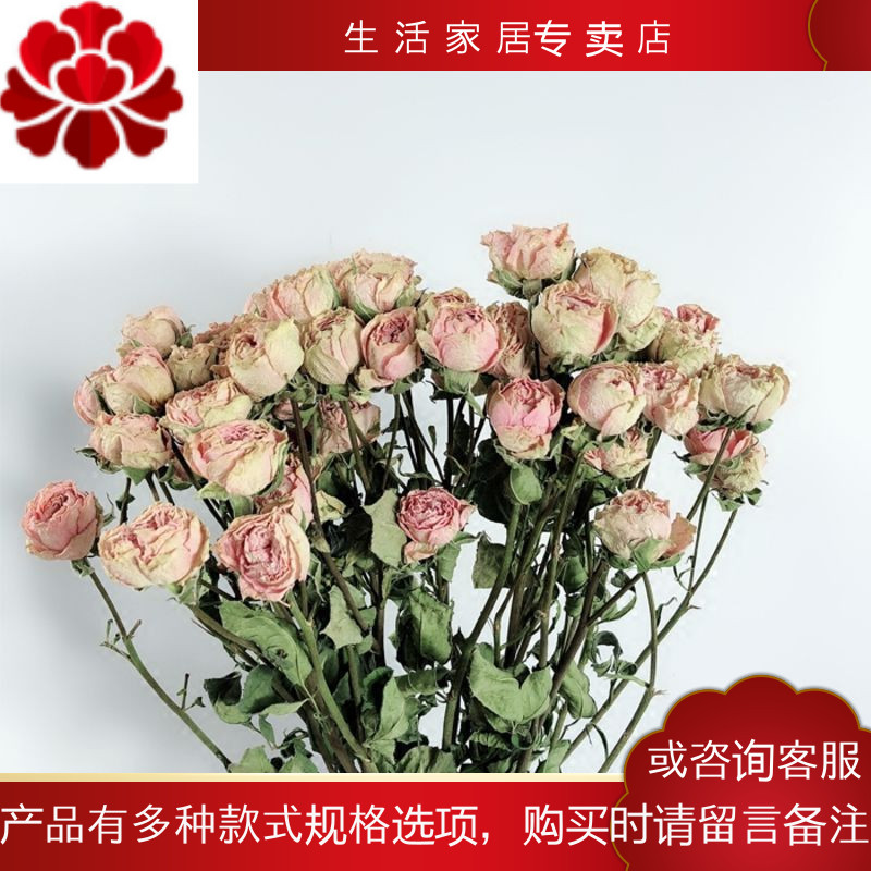 骁熊花瓶 花艺浅粉色玫瑰干花蔷薇风干花花束真花小清新文艺家居摆设花束客厅 价格图片品牌报价 苏宁易购骁熊生活家居专卖店