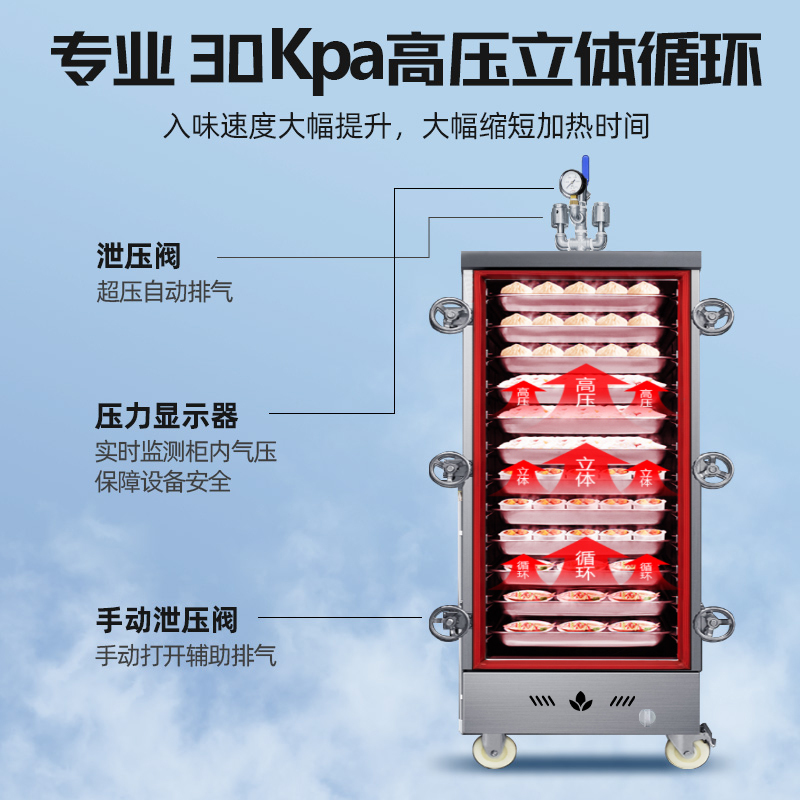 圣托(Shentop)商用高原燃气蒸饭柜 20盘双门燃气蒸柜蒸饭车高压智能全自动蒸箱节能海鲜蒸柜 DDE14