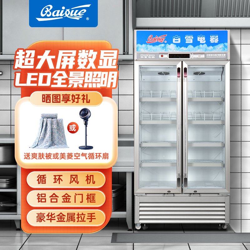 白雪 (Baixue) 冰柜400升立式展示柜 商专用冷饮陈列柜 保鲜冷藏饮料柜SC-400FB