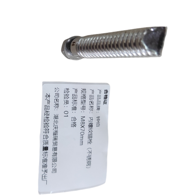 钟伯 内螺纹锚栓(不锈钢) M8X70mm 个高清大图